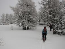 Klik za večjo sliko